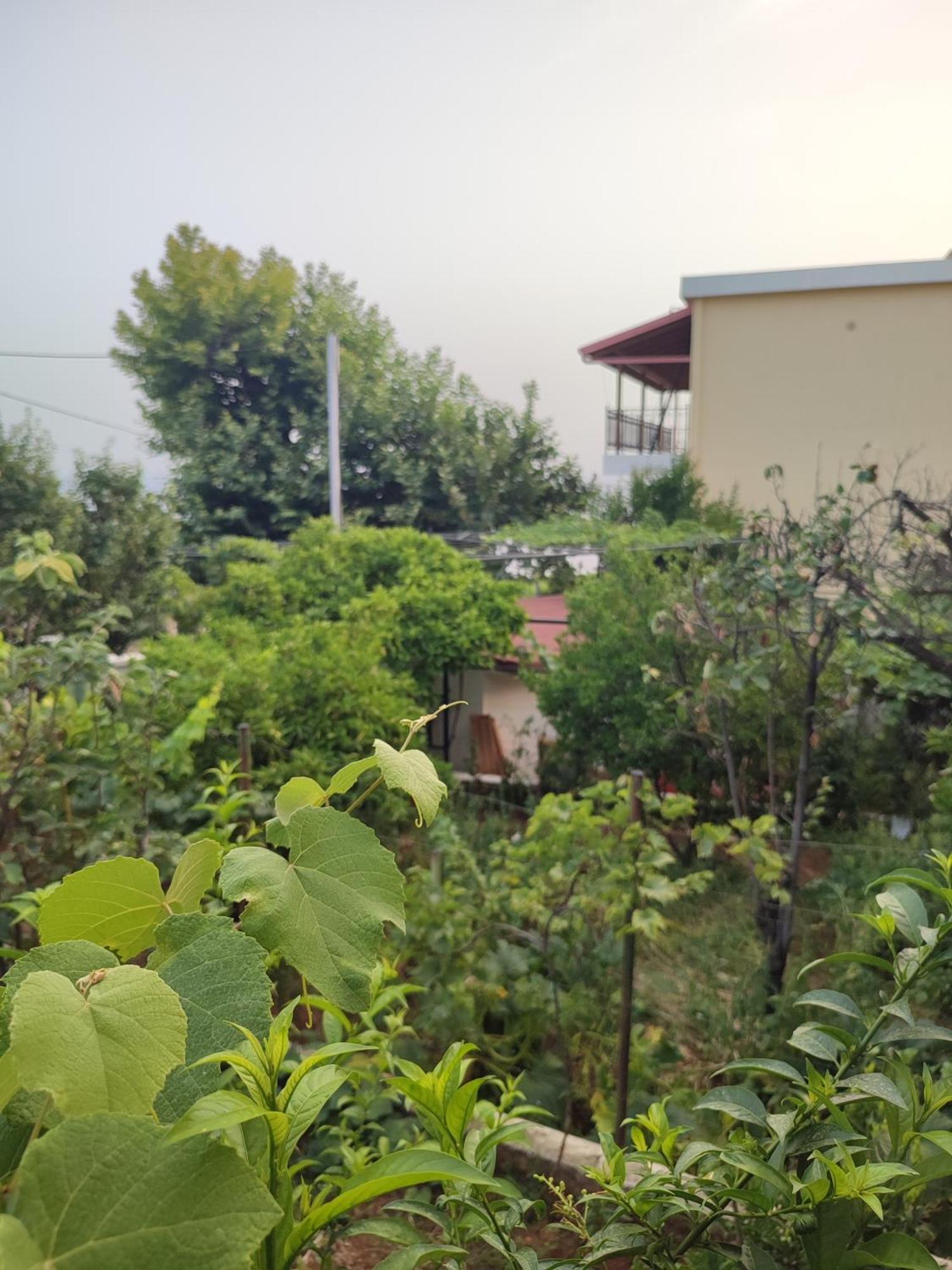 Villa Janilla Dhërmi Exterior foto